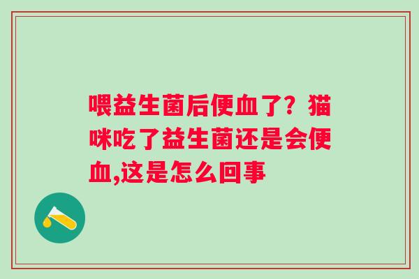 喂益生菌后便了？猫咪吃了益生菌还是会便,这是怎么回事