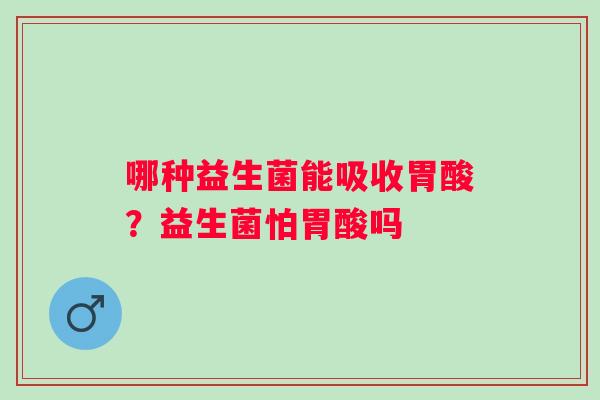 哪种益生菌能吸收胃酸？益生菌怕胃酸吗