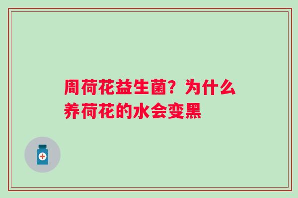 周荷花益生菌？为什么养荷花的水会变黑