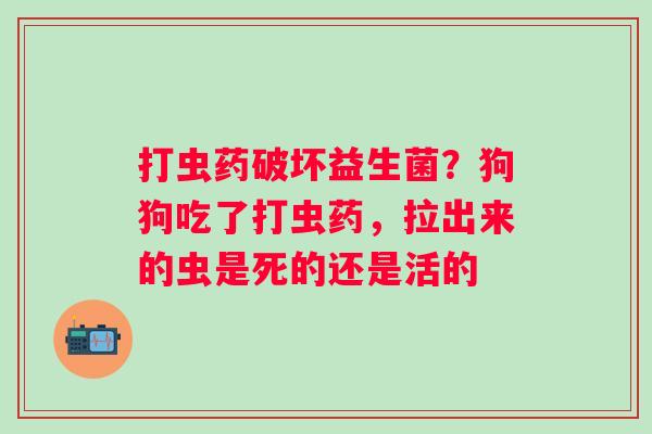 打虫药破坏益生菌？狗狗吃了打虫药，拉出来的虫是死的还是活的