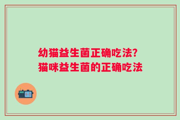 幼猫益生菌正确吃法？猫咪益生菌的正确吃法