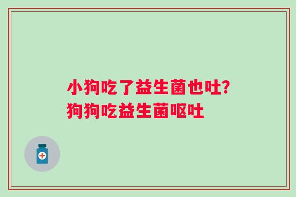 小狗吃了益生菌也吐？狗狗吃益生菌呕吐