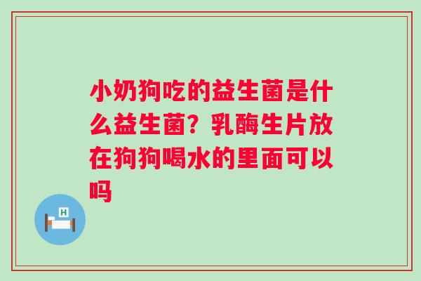 小奶狗吃的益生菌是什么益生菌？乳酶生片放在狗狗喝水的里面可以吗