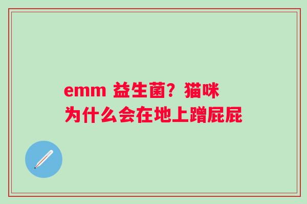 emm 益生菌？猫咪为什么会在地上蹭屁屁