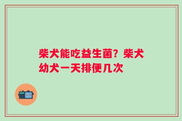 柴犬能吃益生菌？柴犬幼犬一天排便几次