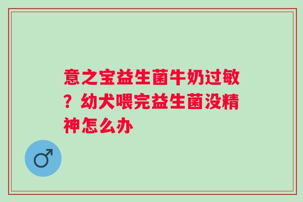 意之宝益生菌牛奶过敏？幼犬喂完益生菌没精神怎么办