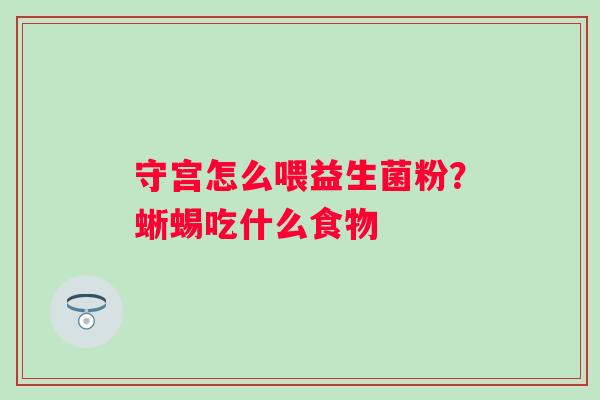 守宫怎么喂益生菌粉？蜥蜴吃什么食物