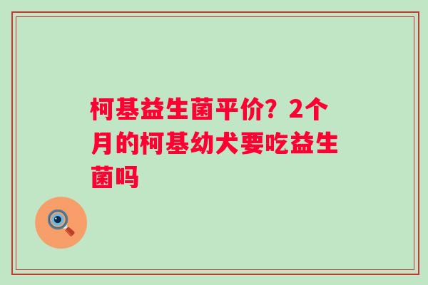 柯基益生菌平价？2个月的柯基幼犬要吃益生菌吗