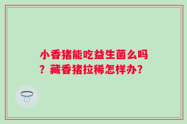 小香猪能吃益生菌么吗？藏香猪拉稀怎样办？