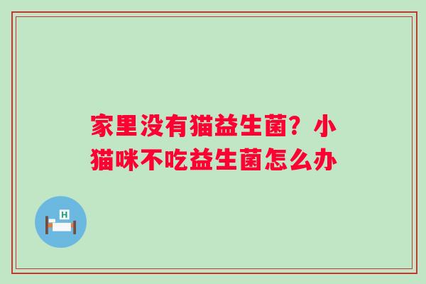 家里没有猫益生菌？小猫咪不吃益生菌怎么办