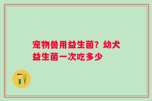 宠物兽用益生菌？幼犬益生菌一次吃多少