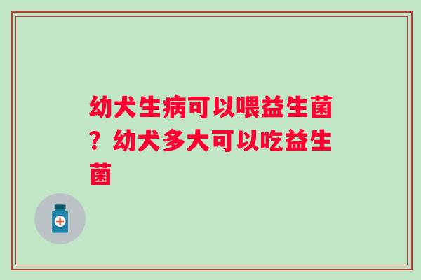 幼犬生病可以喂益生菌？幼犬多大可以吃益生菌