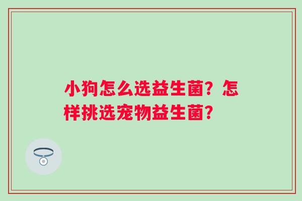 小狗怎么选益生菌？怎样挑选宠物益生菌？