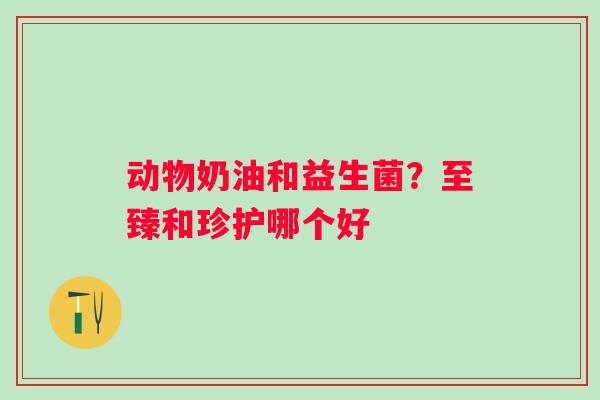 动物奶油和益生菌？至臻和珍护哪个好