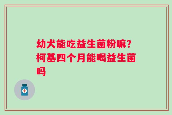 幼犬能吃益生菌粉嘛？柯基四个月能喝益生菌吗