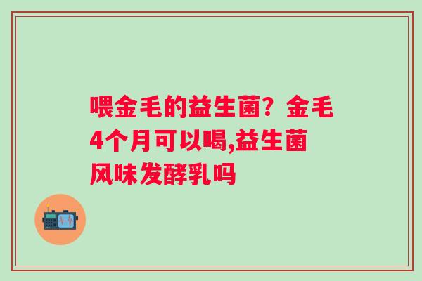 喂金毛的益生菌？金毛4个月可以喝,益生菌风味发酵乳吗
