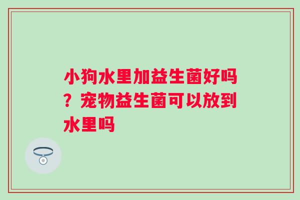 小狗水里加益生菌好吗？宠物益生菌可以放到水里吗