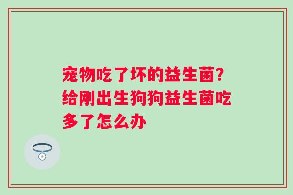 宠物吃了坏的益生菌？给刚出生狗狗益生菌吃多了怎么办