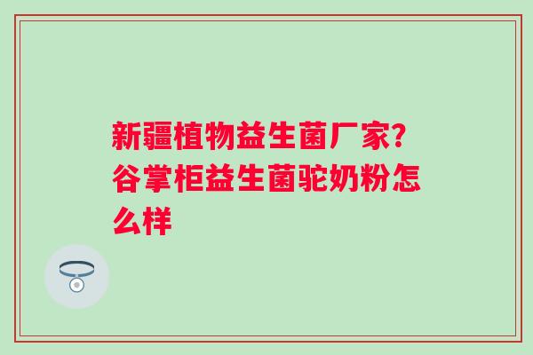 新疆植物益生菌厂家？谷掌柜益生菌驼奶粉怎么样