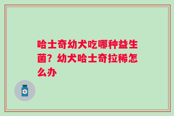 哈士奇幼犬吃哪种益生菌？幼犬哈士奇拉稀怎么办