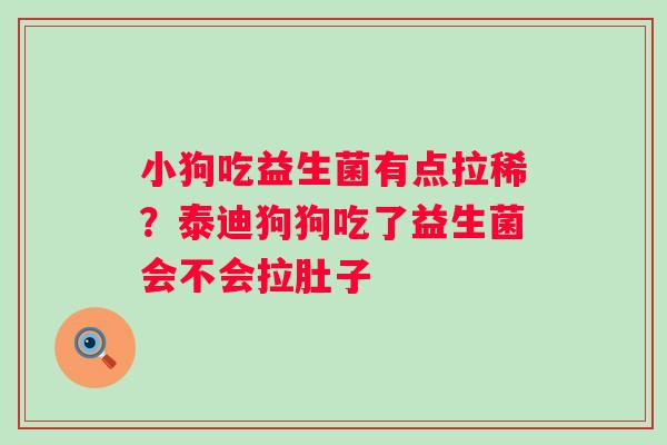 小狗吃益生菌有点拉稀？泰迪狗狗吃了益生菌会不会拉肚子