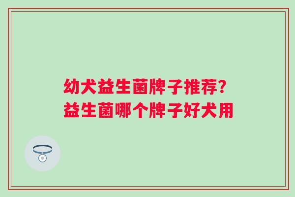 幼犬益生菌牌子推荐？益生菌哪个牌子好犬用