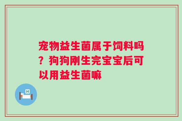 宠物益生菌属于饲料吗？狗狗刚生完宝宝后可以用益生菌嘛