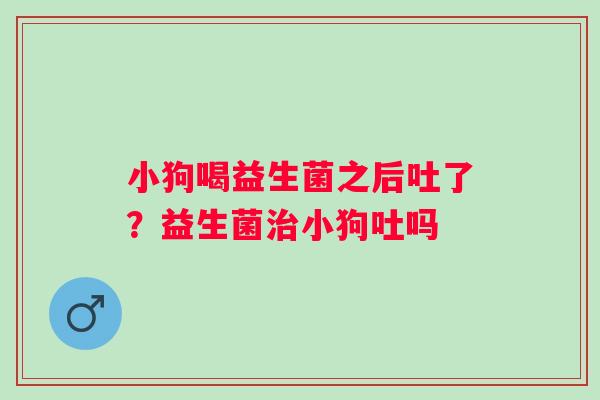 小狗喝益生菌之后吐了？益生菌治小狗吐吗