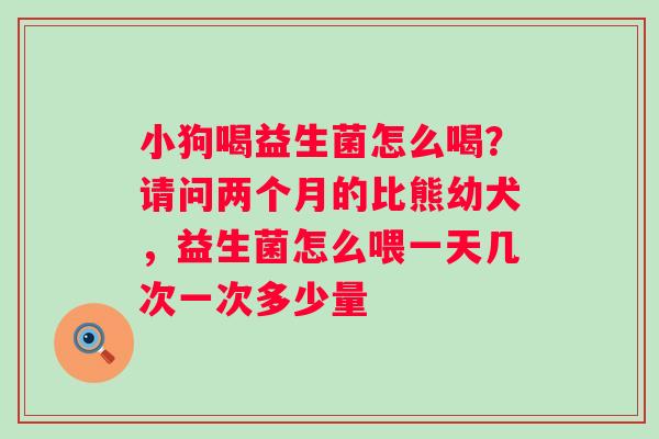 小狗喝益生菌怎么喝？请问两个月的比熊幼犬，益生菌怎么喂一天几次一次多少量