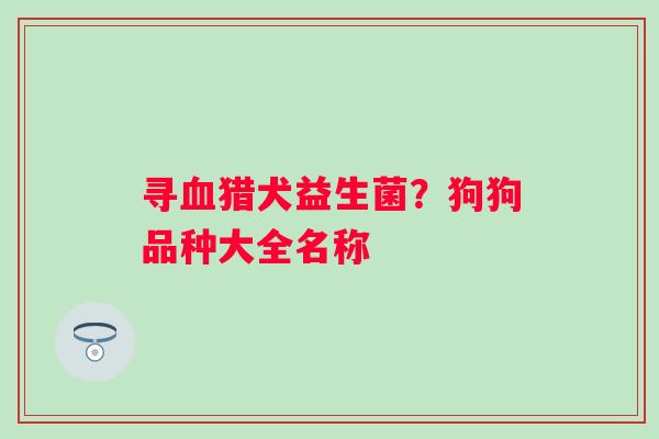 寻血猎犬益生菌？狗狗品种大全名称