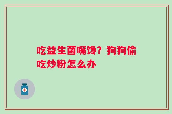 吃益生菌嘴馋？狗狗偷吃炒粉怎么办