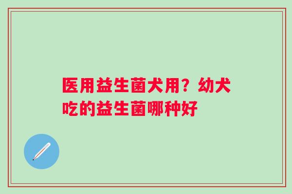医用益生菌犬用？幼犬吃的益生菌哪种好