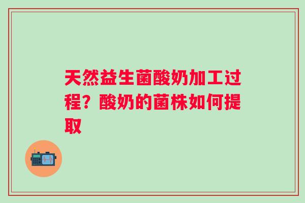 天然益生菌酸奶加工过程？酸奶的菌株如何提取