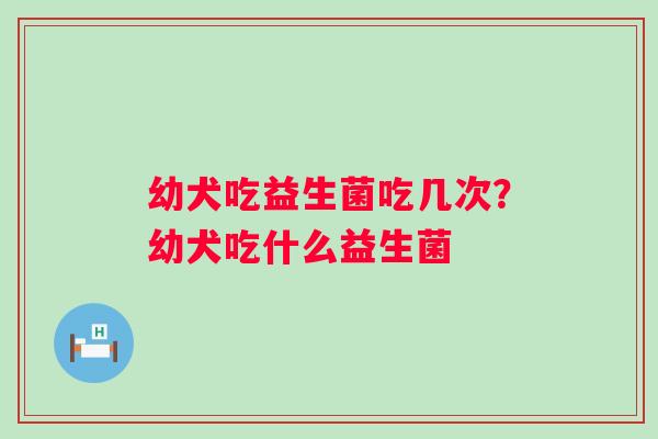 幼犬吃益生菌吃几次？幼犬吃什么益生菌