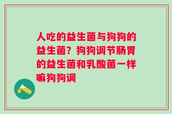 人吃的益生菌与狗狗的益生菌？狗狗调节肠胃的益生菌和乳酸菌一样嘛狗狗调