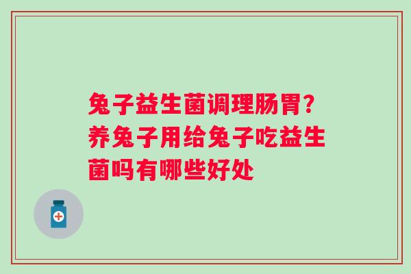 兔子益生菌调理肠胃？养兔子用给兔子吃益生菌吗有哪些好处