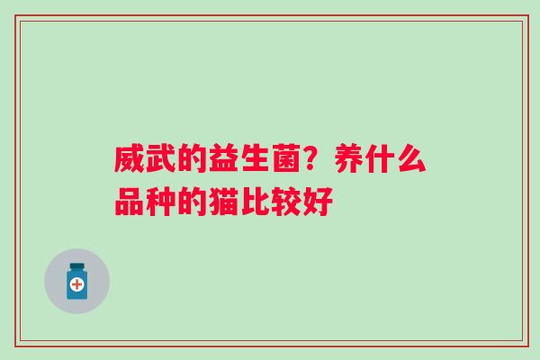 威武的益生菌？养什么品种的猫比较好