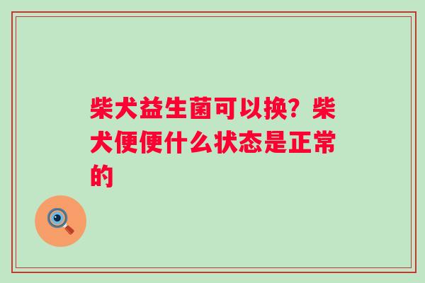 柴犬益生菌可以换？柴犬便便什么状态是正常的