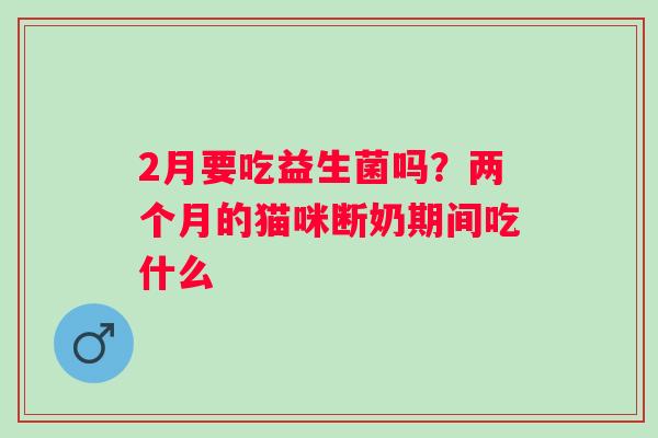 2月要吃益生菌吗？两个月的猫咪断奶期间吃什么