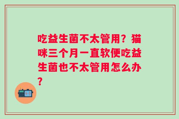 吃益生菌不太管用？猫咪三个月一直软便吃益生菌也不太管用怎么办？