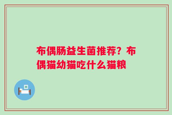 布偶肠益生菌推荐？布偶猫幼猫吃什么猫粮