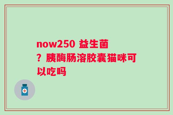 now250 益生菌？胰酶肠溶胶囊猫咪可以吃吗