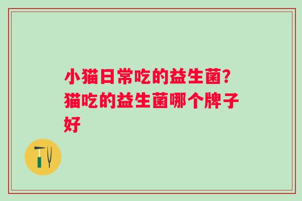 小猫日常吃的益生菌？猫吃的益生菌哪个牌子好