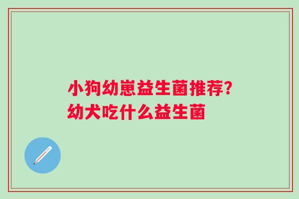 小狗幼崽益生菌推荐？幼犬吃什么益生菌