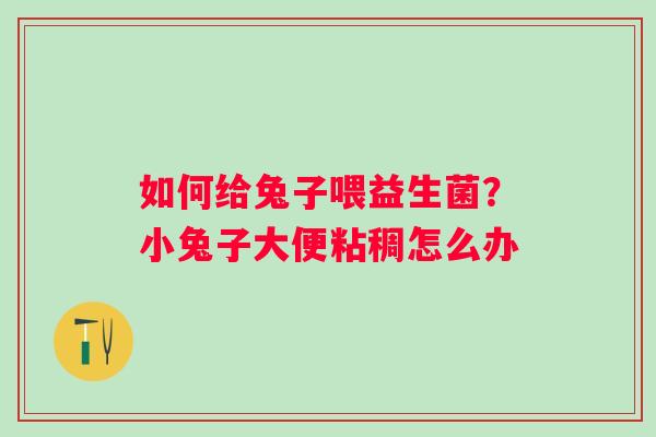 如何给兔子喂益生菌？小兔子大便粘稠怎么办