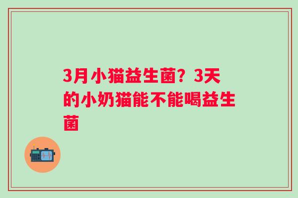 3月小猫益生菌？3天的小奶猫能不能喝益生菌