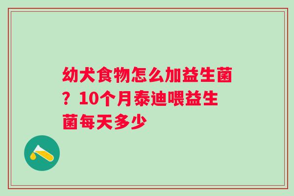 幼犬食物怎么加益生菌？10个月泰迪喂益生菌每天多少