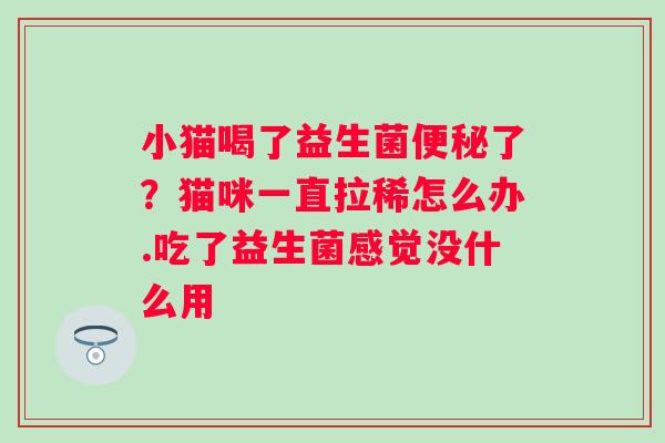 小猫喝了益生菌了？猫咪一直拉稀怎么办.吃了益生菌感觉没什么用