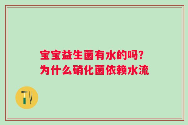 宝宝益生菌有水的吗？为什么硝化菌依赖水流