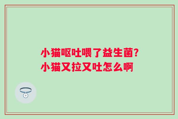 小猫呕吐喂了益生菌？小猫又拉又吐怎么啊